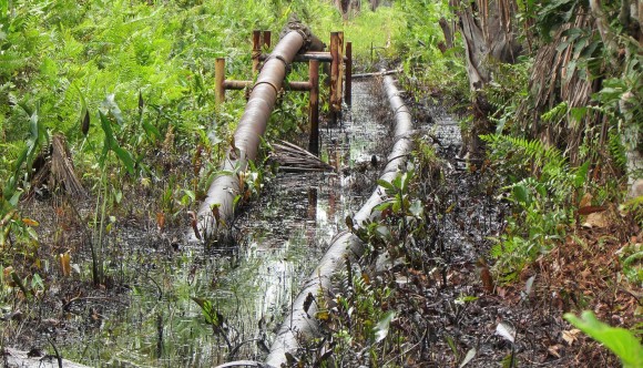 acodecospat_rnpscontaminación2