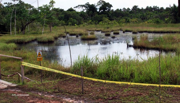 Vista de un fragmento del Sitio PAC 5. Este sitio ha sido dividido en 3 lagunas por los sembríos de totora.