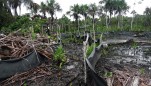 Guardaparque de SERNANP inspeccionando deforestación sin permiso de Pluspetrol. Derrame en zona del oleoducto, 4 de diciembre de 2013. Foto proporcionada por Acodecospat.