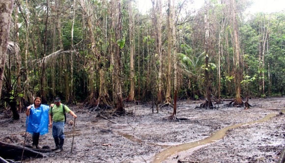 Derrame Machinpoza-Tambo. David Chino, vicepresidente de FEDIQUEP y congresista Marisol Pérez Tello observando la contaminación en la zona. Foto panorámica, abril 2014.