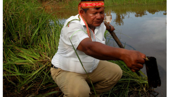 Apu de la comunidad Alianza Capahuari. Foto: FEDIQUEP, 2012.