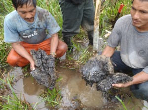 Equipo de monitores ambientales de la Federación de Comunidades Nativas del Alto Tigre - FECONAT. Fotos de inicios de 2012.