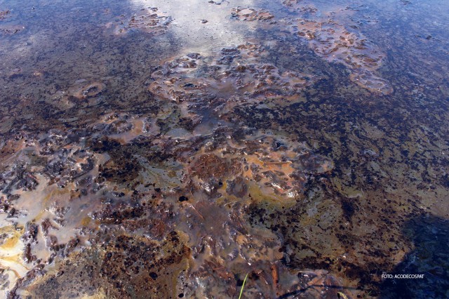 Detalle de laguna de petróleo. Contaminación en el lote 8X, Reserva Nacional Pacaya Samiria. 